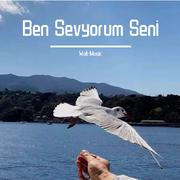 Ben Sevyorum Seni | Remix