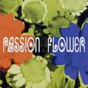 Passion Flower
