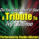 Do You Like What U See (A Tribute to Ivy Quainoo) - Single专辑