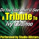 Do You Like What U See (A Tribute to Ivy Quainoo) - Single