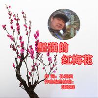 韩晓辉 - 坚强的红梅花(原版立体声伴奏)
