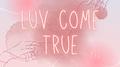 Luv come true专辑