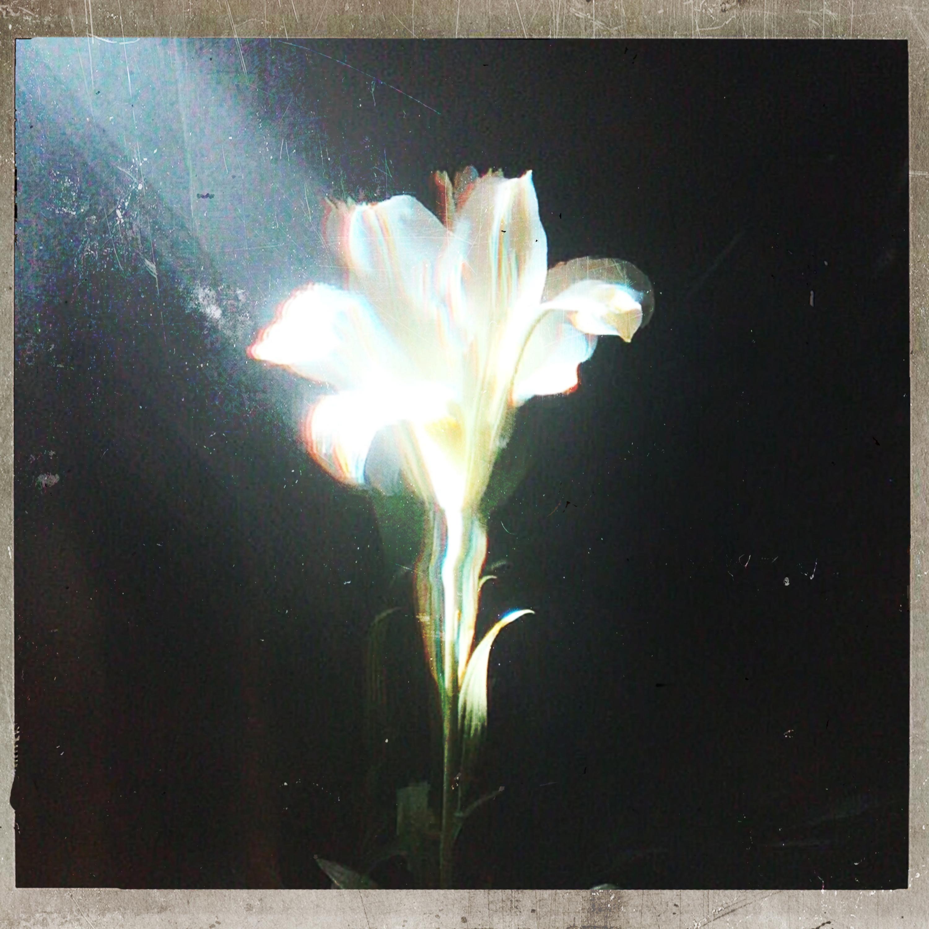 Light That Leads Me