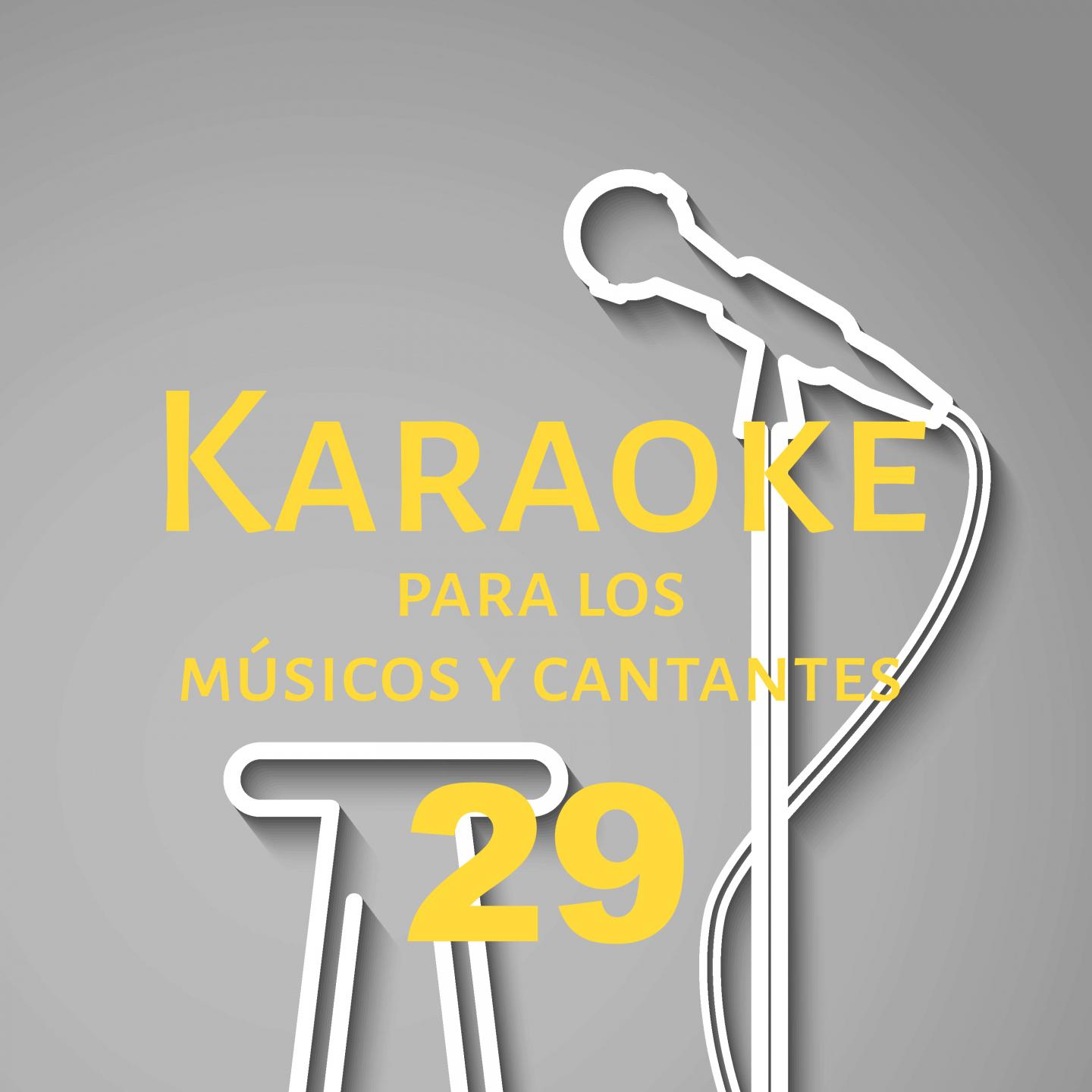 Karaoke para los músicos y cantantes, Vol. 29专辑