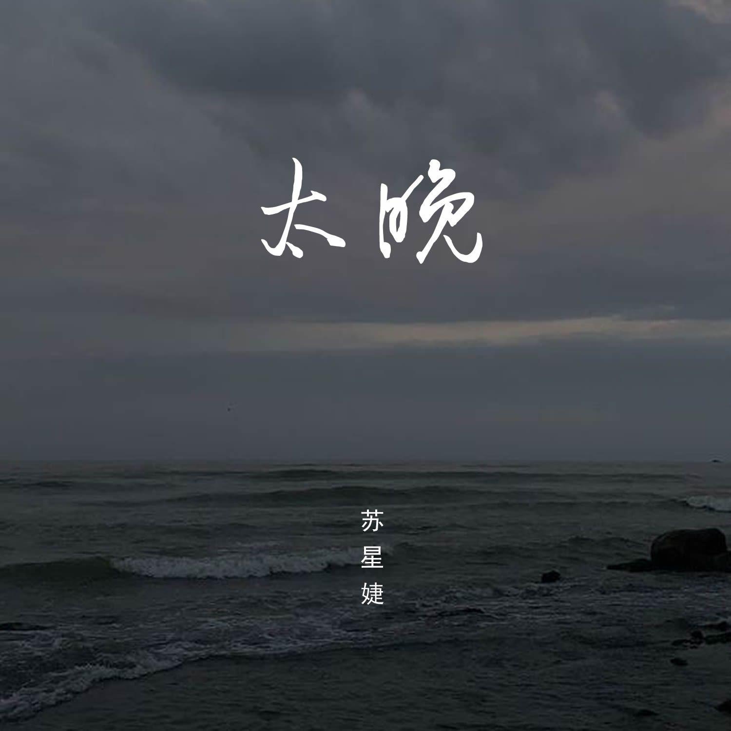 太晚（DJAh版）