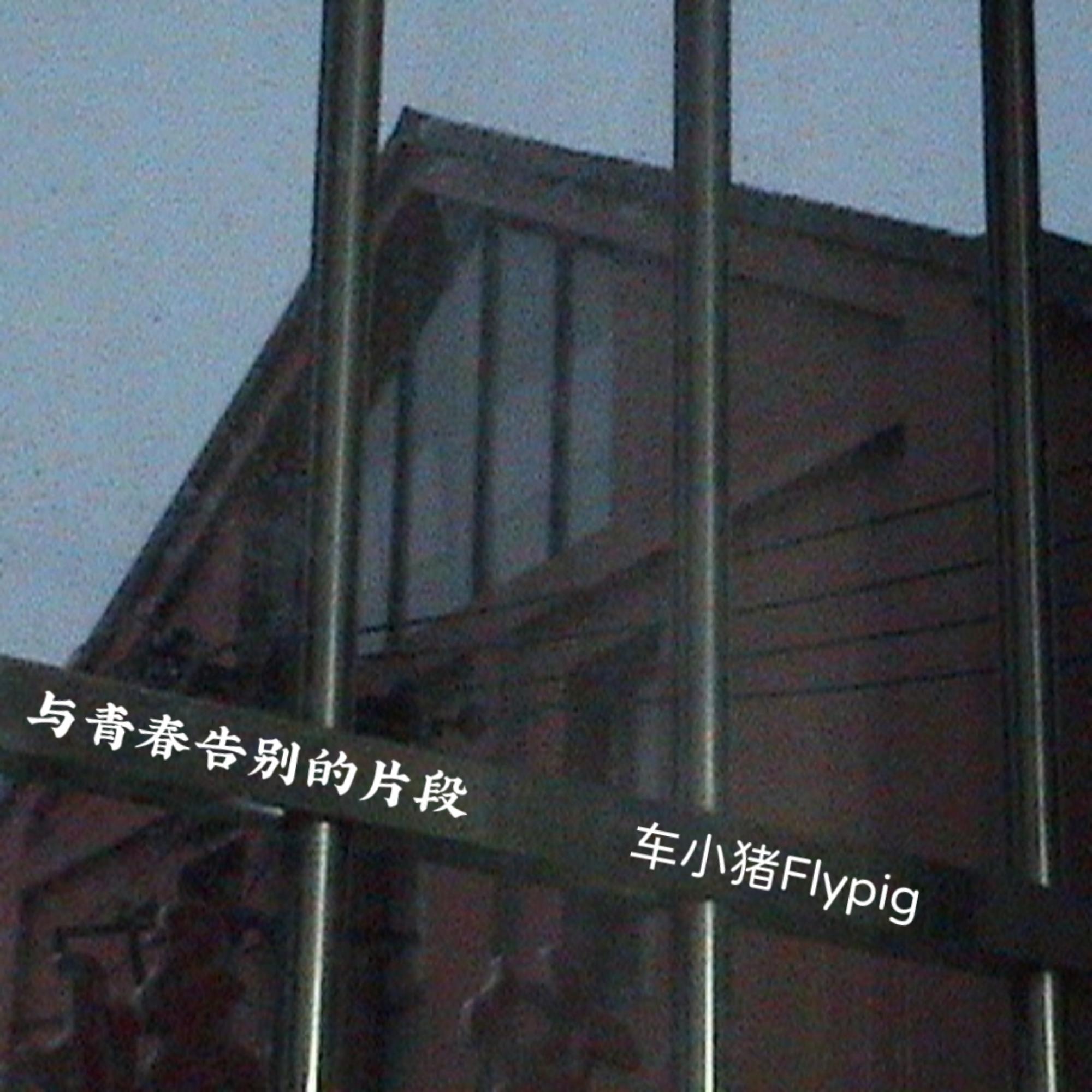 与青春告别的片段