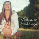 Música de Embarazo专辑