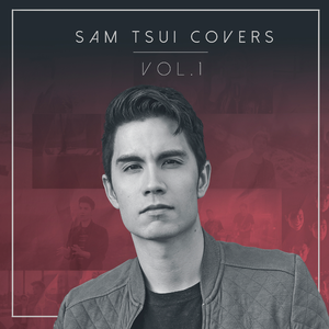 Sam Tsui - Someone Like You (消音版) 带和声伴奏