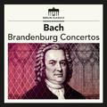 Bach: Brandenburg Concertos