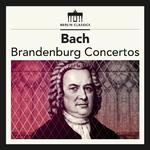 Bach: Brandenburg Concertos专辑