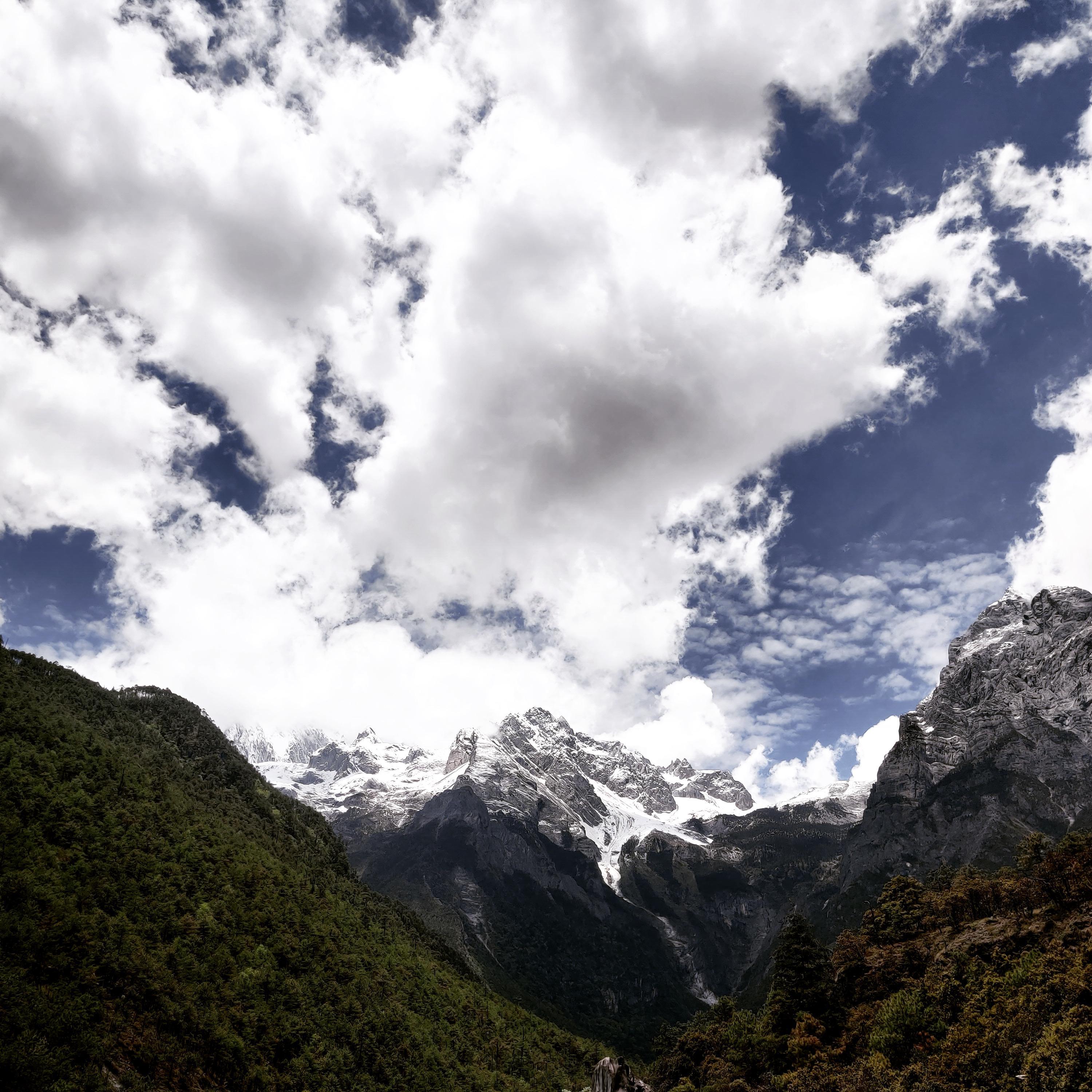 [SOLD]NaturalFlow(Prod.T.F.G)