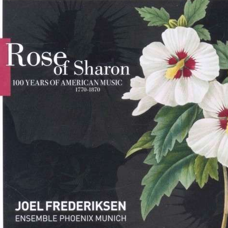 Rose of Sharon