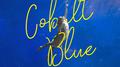 Cobalt Blue专辑