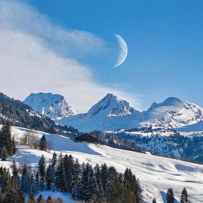 心画魂儿（我心画魂儿 我慌了神儿）