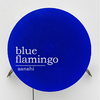 Blue Flamingo（Cover 窦靖童）