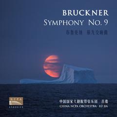 布鲁克纳：第九交响曲 (Bruckner: Symphony No.9)