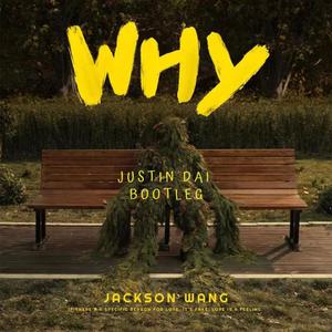 王嘉尔 - Why Why Why