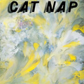 CAT NAP