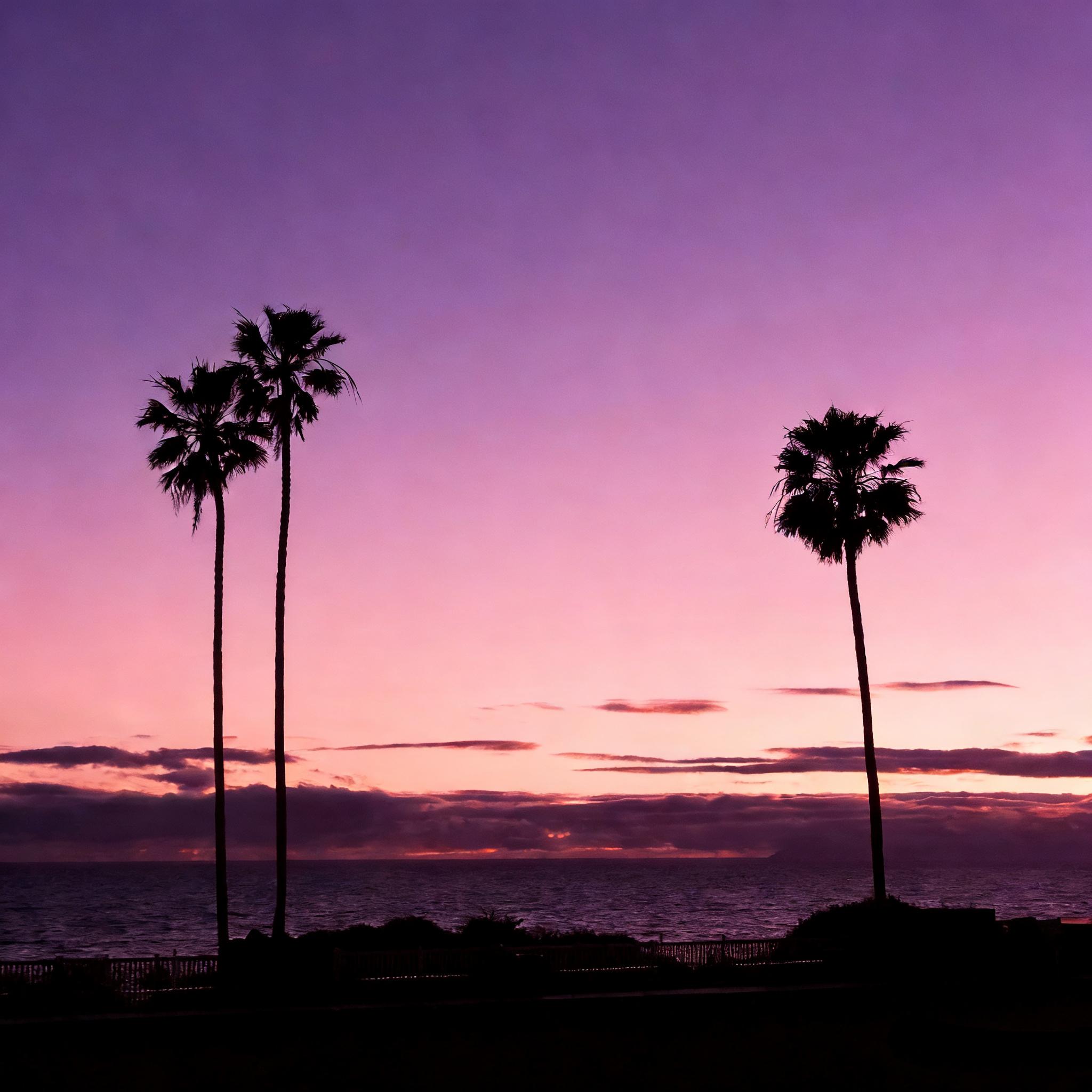 showtime & thank u next（纯享版）