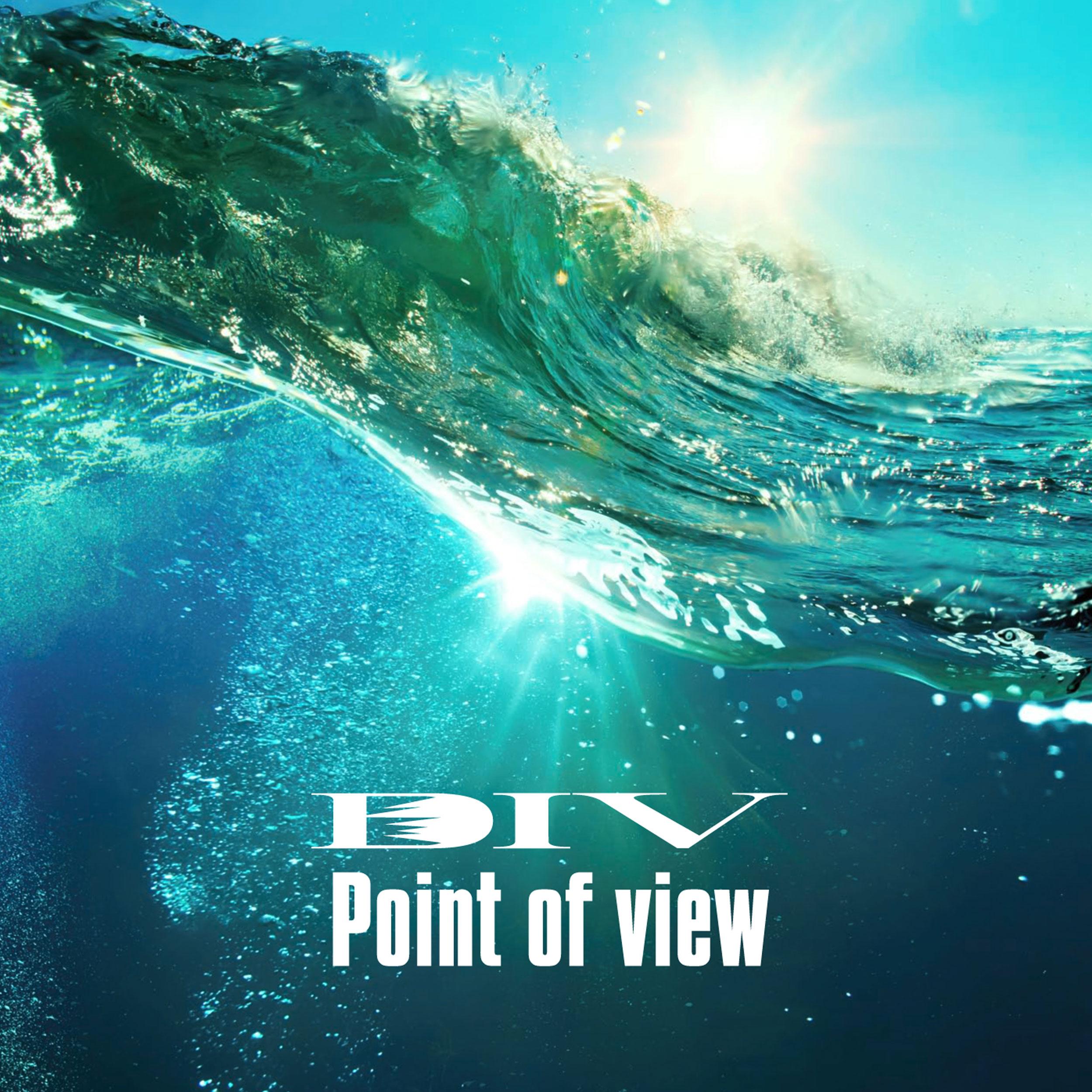 Point of view 