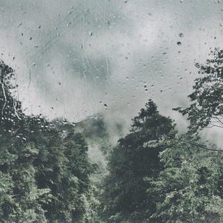 初秋 | 时有微凉不是风