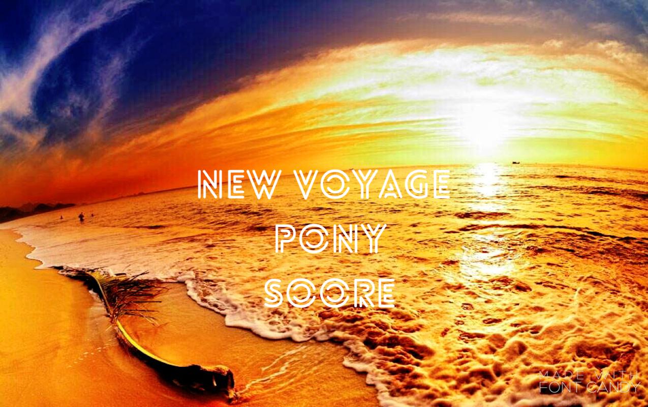 New Voyage (已售)专辑