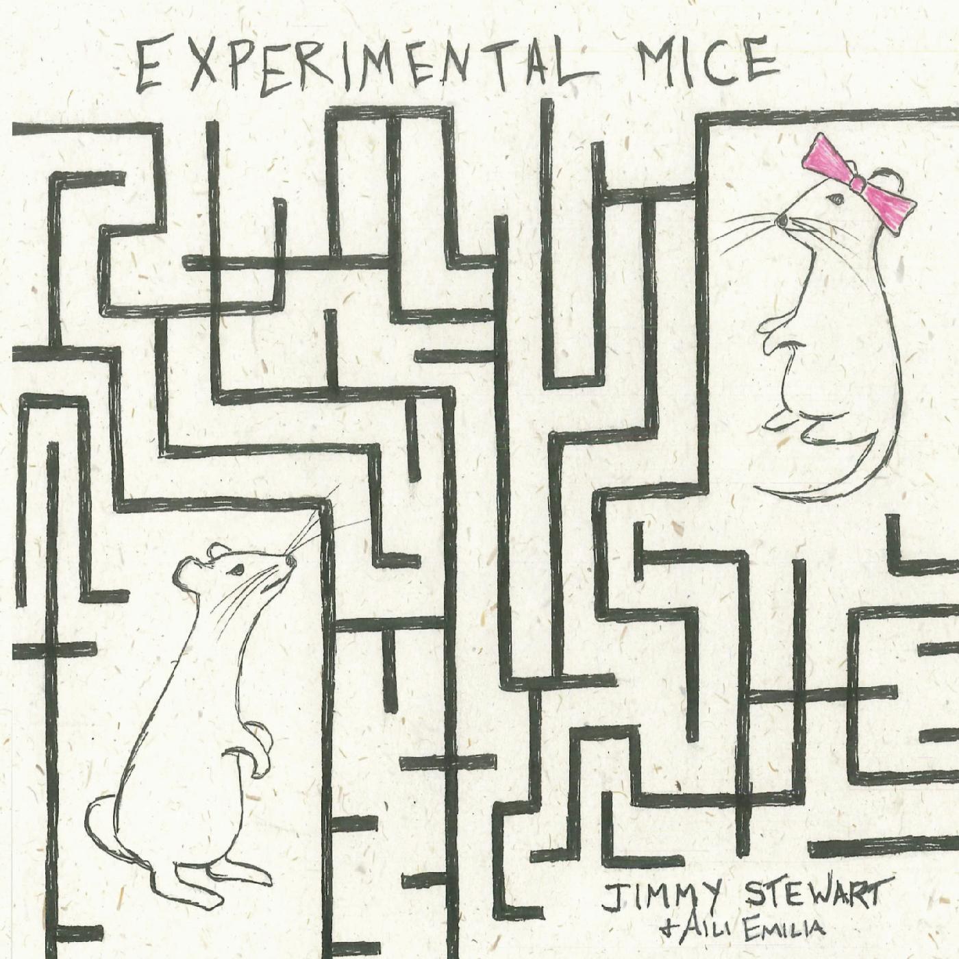Experimental Mice