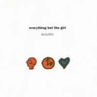 Singer - Everything But The Girl