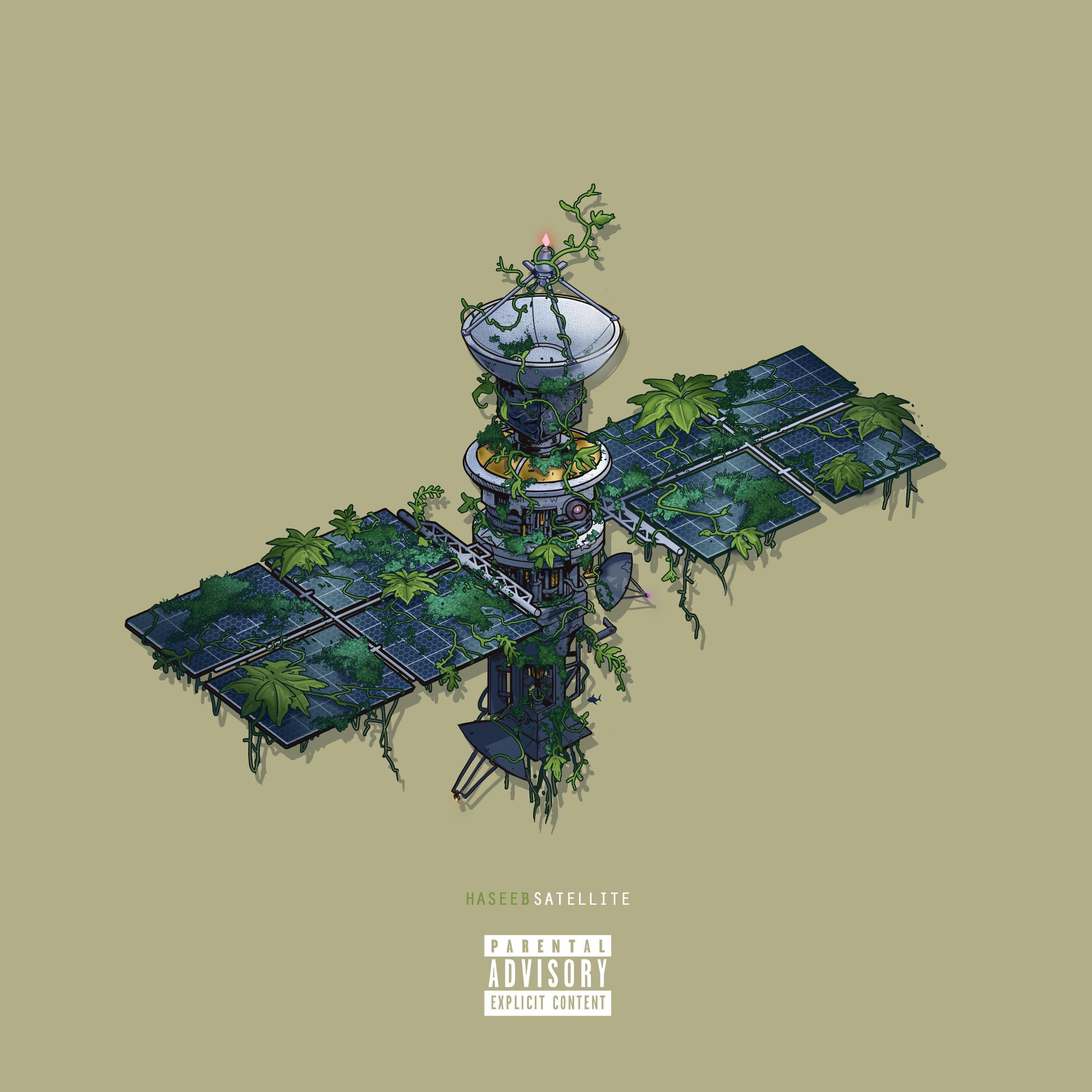 Satellite