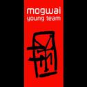 Young Team专辑