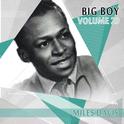 Big Boy Miles Davis, Vol. 29专辑