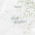 冬雪落不到春天