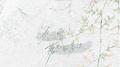 冬雪落不到春天专辑
