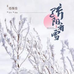 骄阳看雪