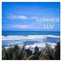 Summer Luv专辑