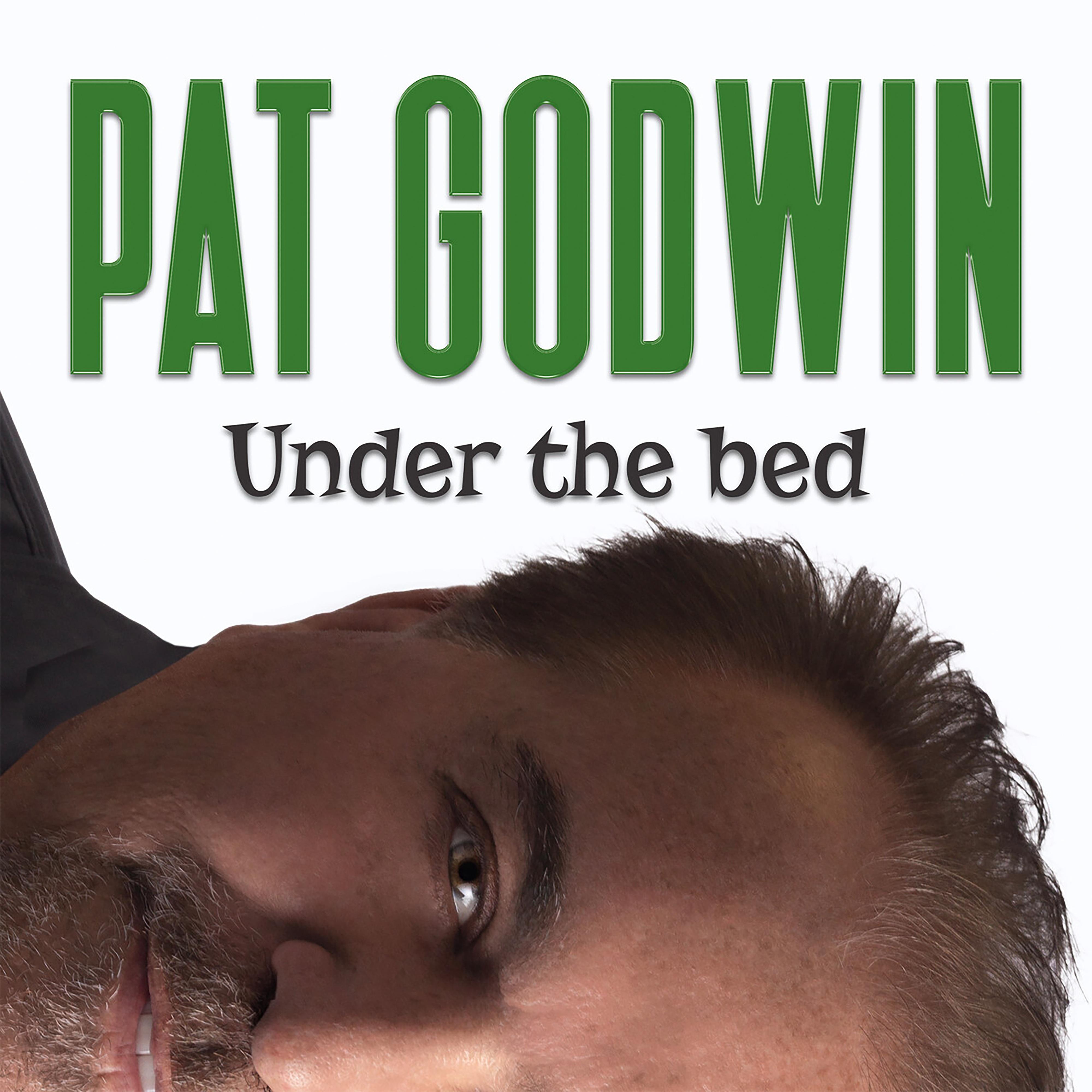 Pat Godwin - Mom's Little Secret