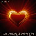 I Will Always Love You (Whitney Houston Tribute 2012)专辑