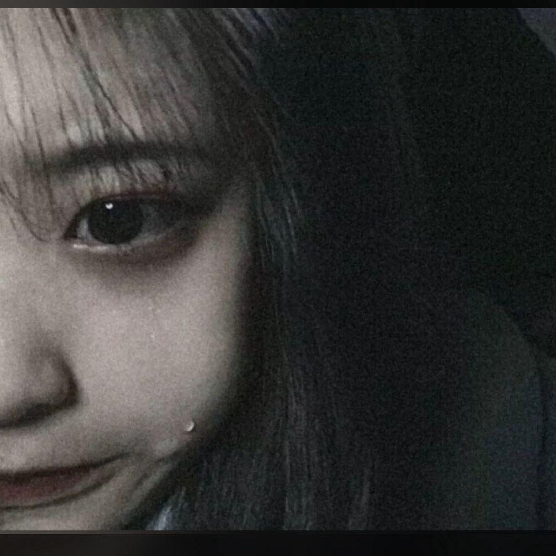 晚枫歌 (11秒片段)