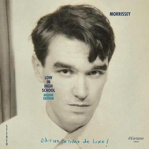 Morrissey - Spent The Day In Bed （降5半音）