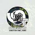 Sound of Today(James_k Remix)专辑