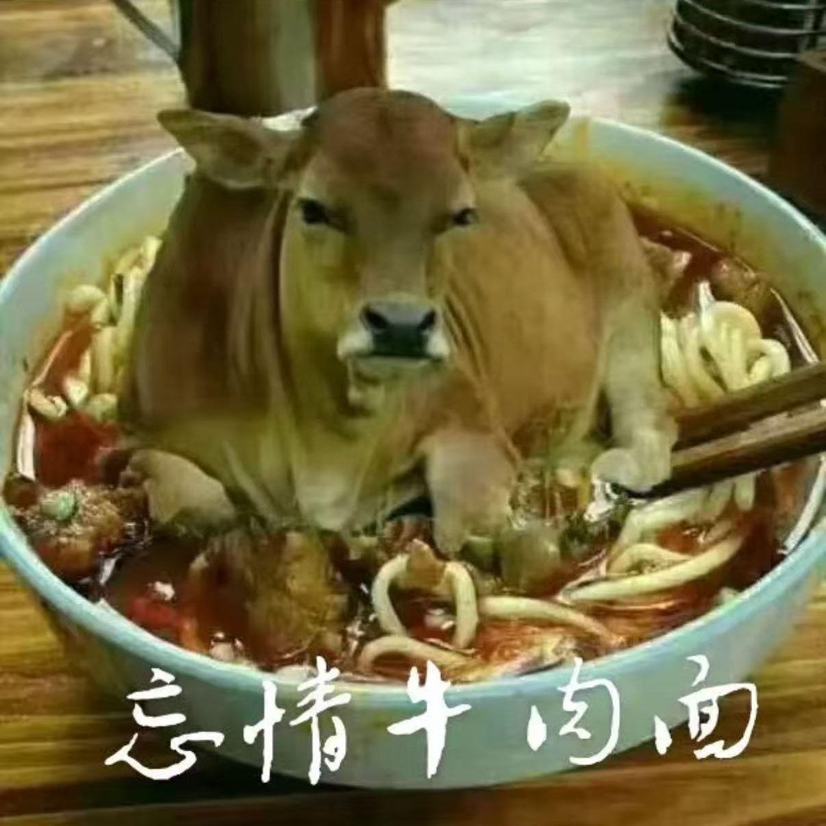 老板给我来碗忘情牛肉面