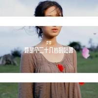 杨小壮-她是个二十几岁的姑娘(DJ版)