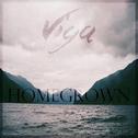 Homegrown (Viga Remix)专辑