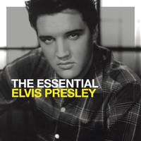 Elvis Presley - Hound Dog ( Unofficial Instrumental )