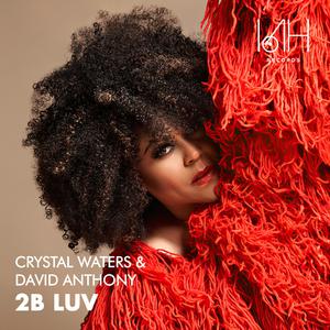 Crystal Waters & David Anthony - 2B Luv (Instrumental) 原版无和声伴奏