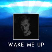 Wake Me Up (feat. Fleurie) [Special Version]