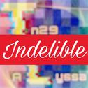 Indelible专辑