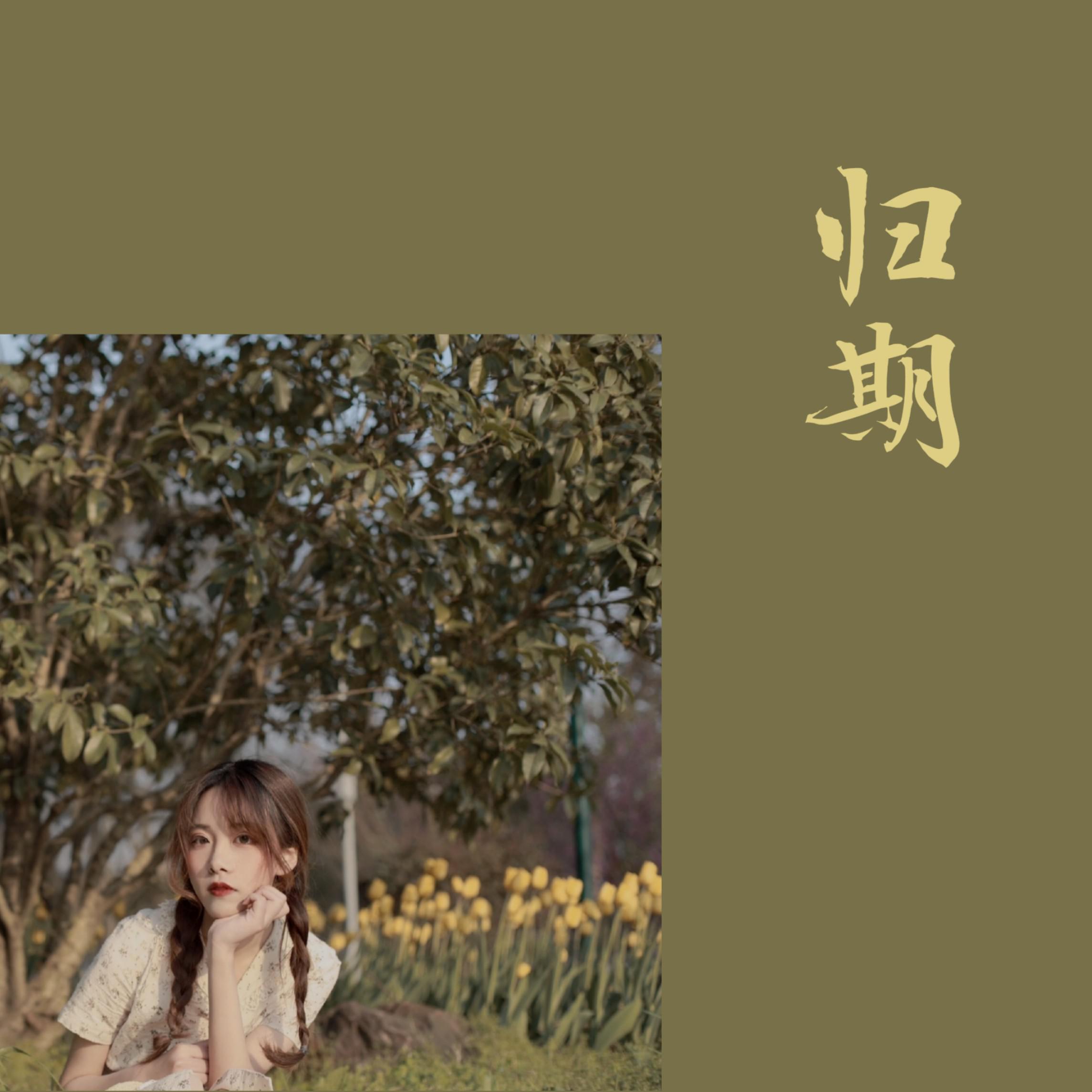 归期封面