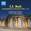 BACH, J.S.: Brandenburg Concertos Nos. 1-6 (Munchinger) (1950)专辑