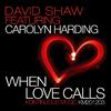 David Shaw - When Love Calls (Deep Soul Radio Edit)